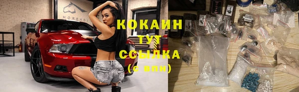 молекула духа Снежногорск