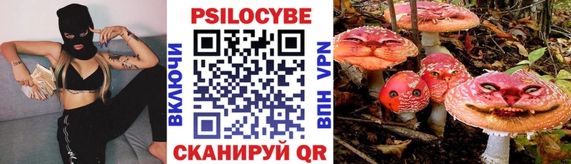 Псилоцибиновые грибы Psilocybine cubensis  МЕГА ССЫЛКА  Болотное  купить  